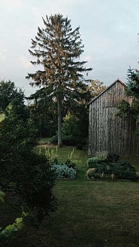 plush74 countryside serenity uckermark 26(1)