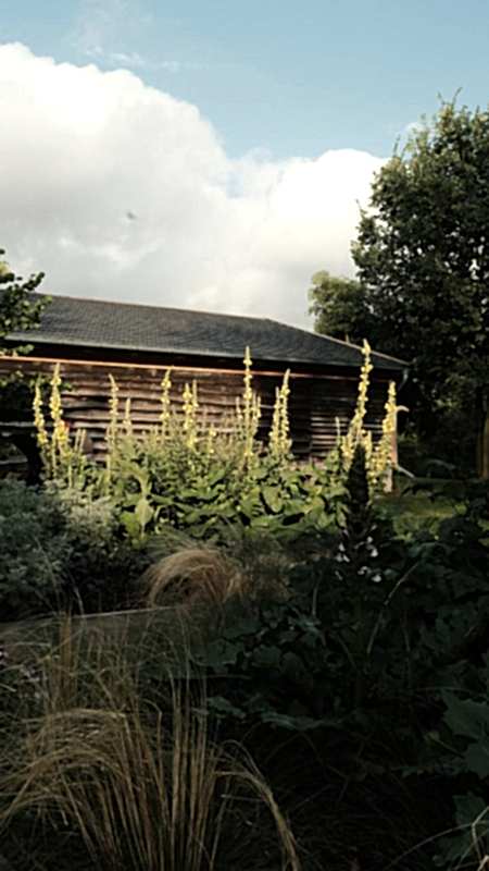 plush74 countryside serenity uckermark 8(1)