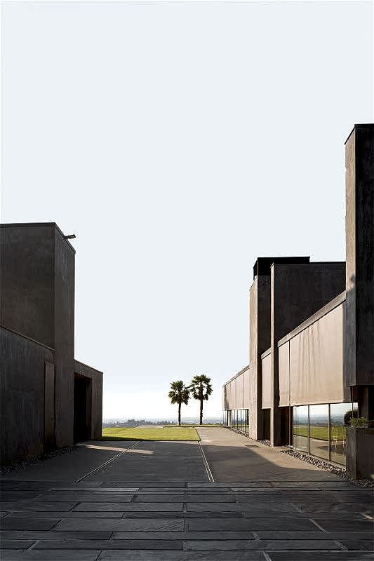 plush74 rinoceronte 1