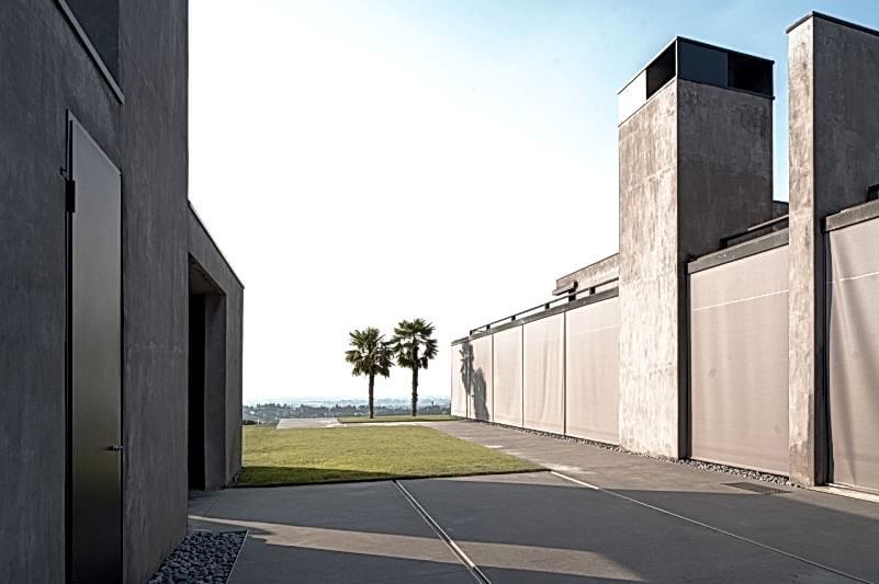 plush74 rinoceronte 6