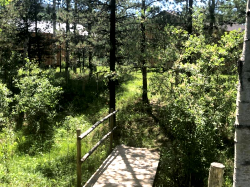 plush74 serene lakefront solar cabins retreat 10