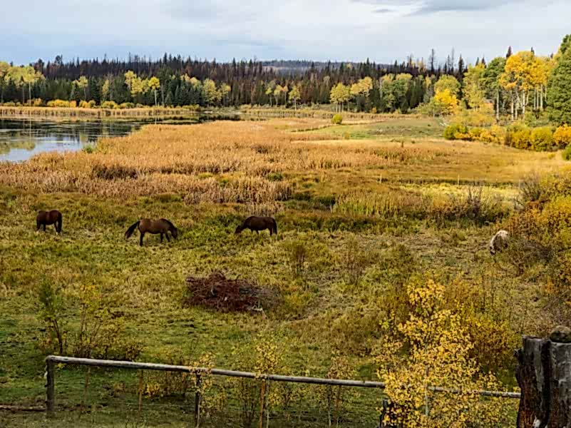 plush74 serene lakefront solar cabins retreat 11