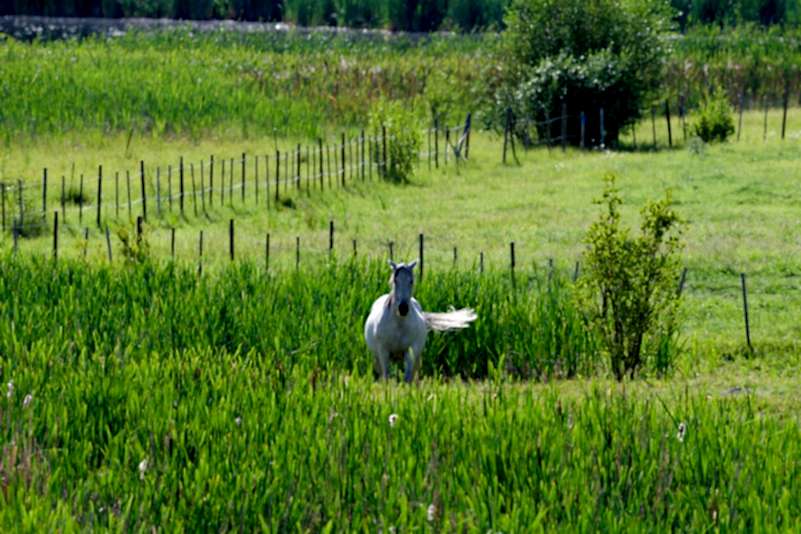 plush74 serene lakefront solar cabins retreat 15