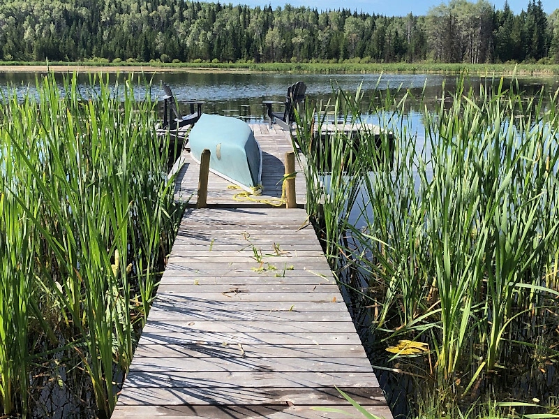 plush74 serene lakefront solar cabins retreat 8